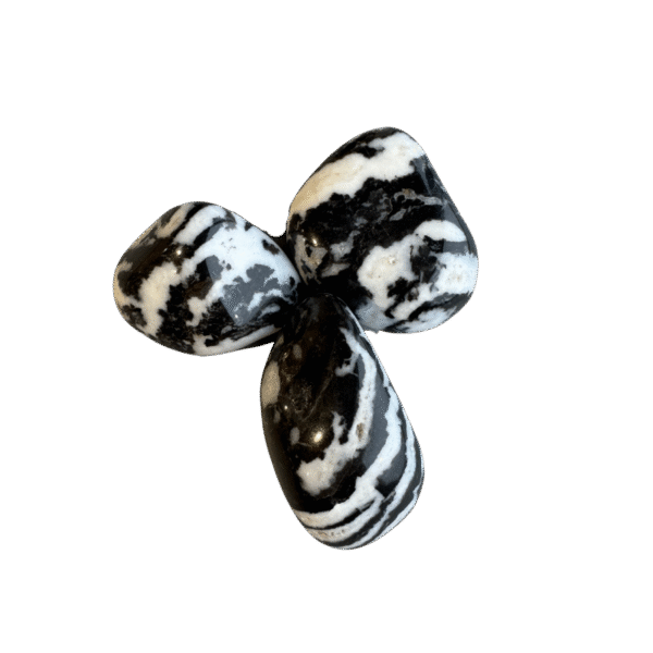 Zebra steen Freeform