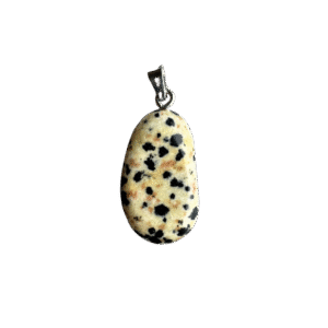 Dalmatiër Steen Hanger – Aarding, Bescherming & Speelsheid