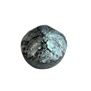Schelpen Doosje Abalone Mozaïek