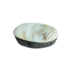 Ovaal Schelpen Doosje met Parelmoer