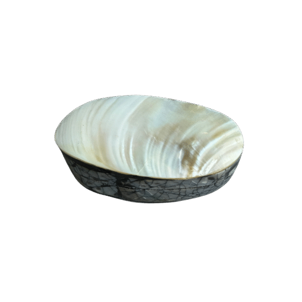 Ovaal Schelpen Doosje met Parelmoer