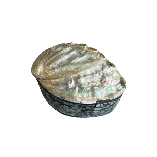 Sieradendoosje met Abalone Schelp - Parelmoer