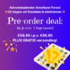 PRE-ORDER Advent kalender Amethist Forest - Afbeelding 2